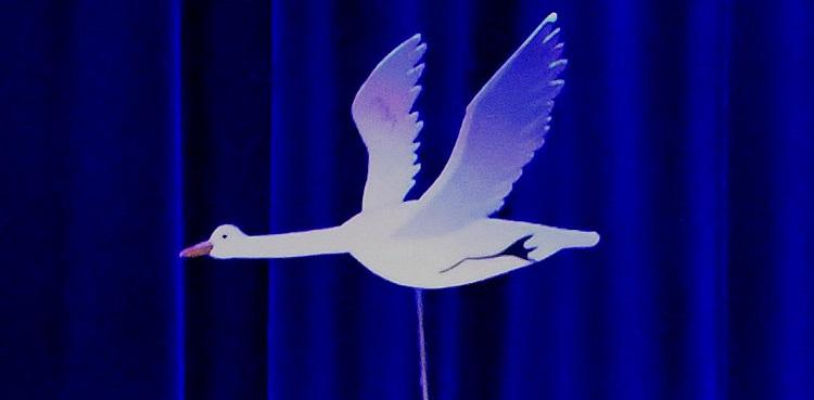 Cygne en vol 1